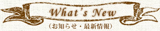 m点ŐV